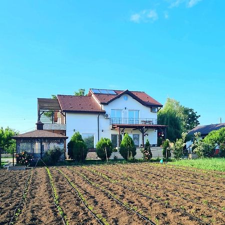 Nobless Villa Mereni  Zewnętrze zdjęcie