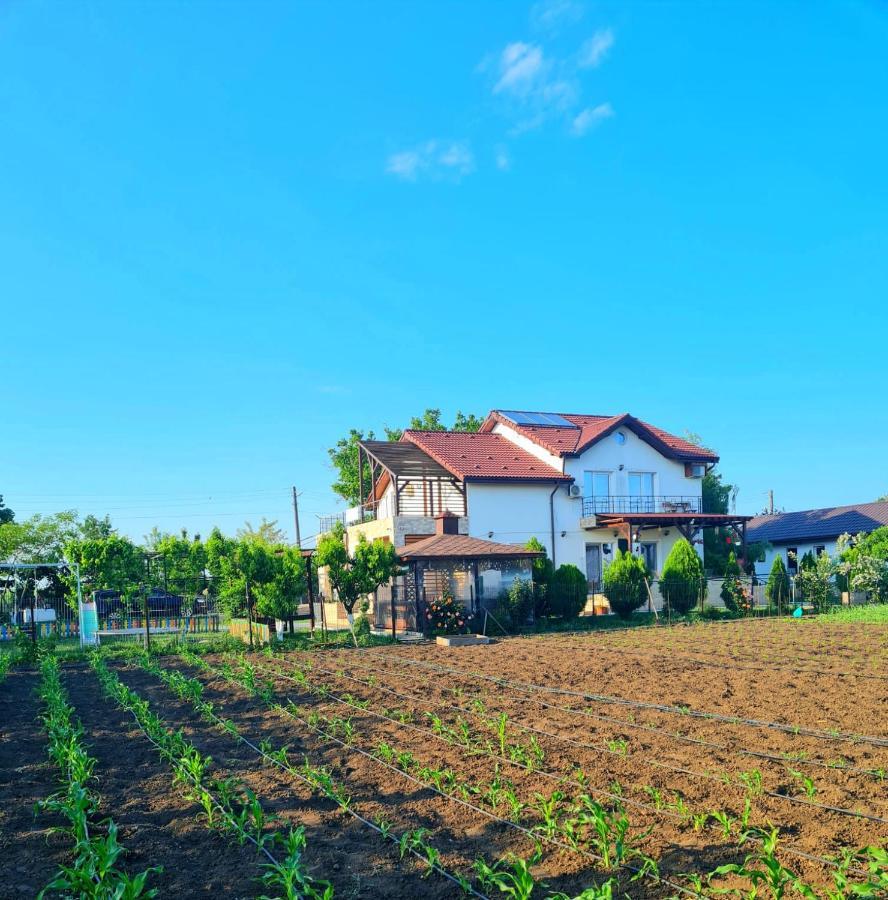 Nobless Villa Mereni  Zewnętrze zdjęcie