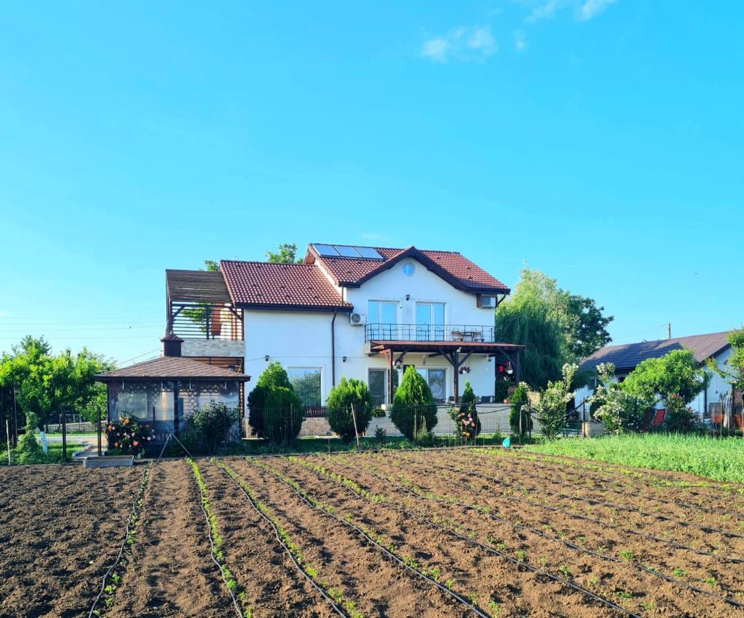 Nobless Villa Mereni  Zewnętrze zdjęcie