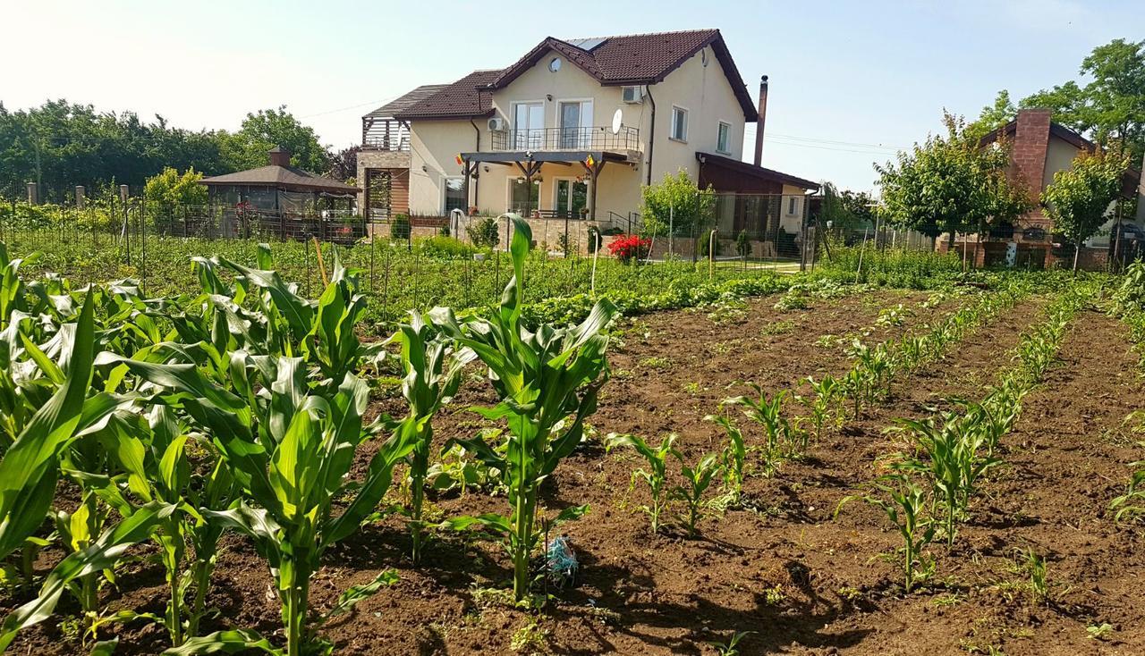 Nobless Villa Mereni  Zewnętrze zdjęcie